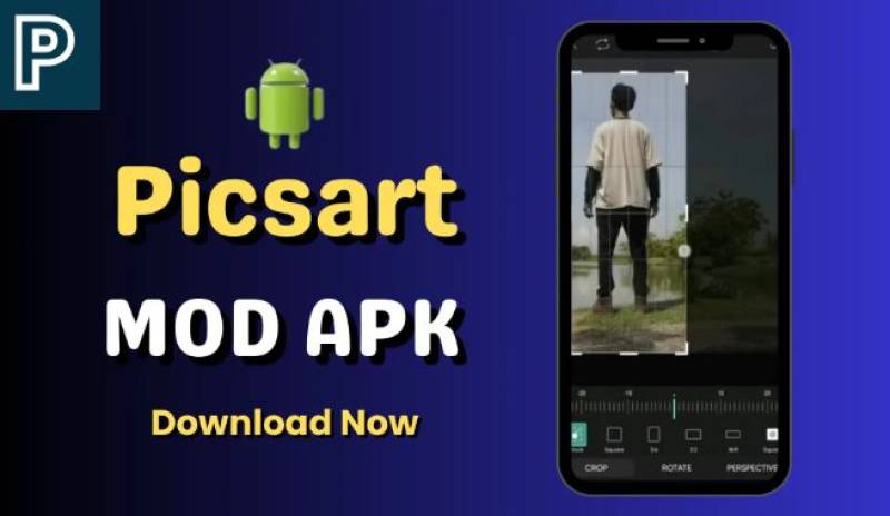 Why PicsArt Mod APK Is Apt For Content Creators